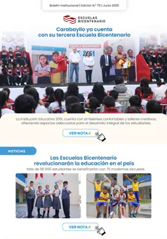 Boletín Institucional N° 19