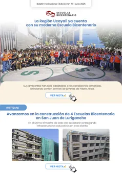 Boletin 77 Web Boletín Institucional N° 19