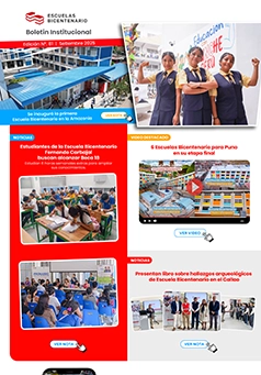 Boletín Institucional N° 19