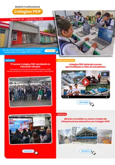 Boletín Institucional N° 19