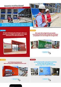 Boletín Institucional N° 19