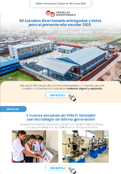 Boletín Institucional N° 19