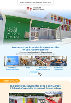Boletín Institucional N° 19